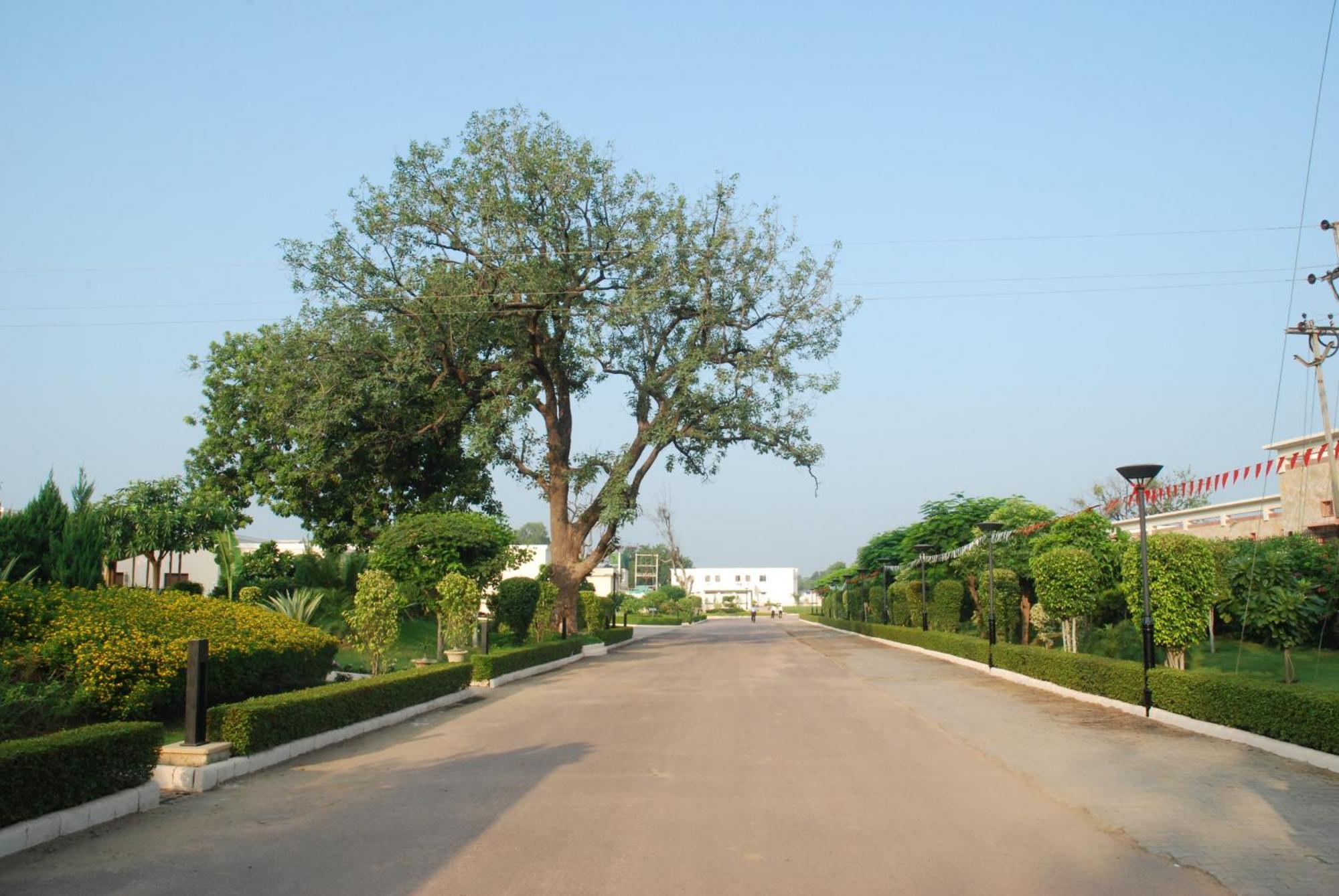 The Lalit Temple View Hotel Khajurāho Eksteriør billede